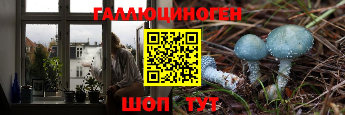 Донецк  Галлюциногенные грибы Cubensis  Вход с VPN 